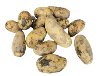 Agria Kartoffeln (Bio, ca. 1Kg)