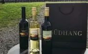 2-wein-vom-südhang-eschenbach-lu.jpg