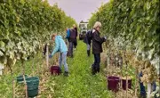 4-wein-vom-südhang-eschenbach-lu.jpg