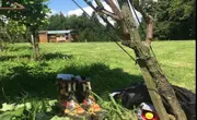 7-wein-vom-südhang-eschenbach-lu-wein-vom-südhang-eschenbach-lu.jpg