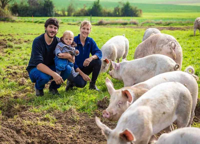 fam-süess-schweine-weidefarm-ballwil.jpg