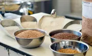 mehl-bäckerei-confiserie-koch-hochdorf.jpg