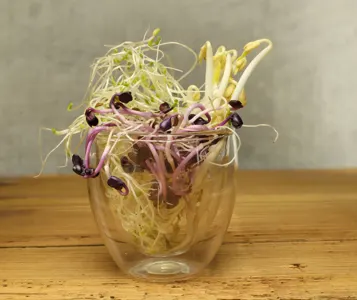 Sprossen Mix