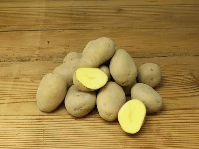 Kartoffeln festkochend