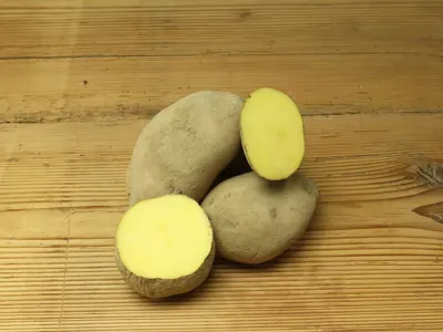 Bio Kartoffeln mehligkochend
