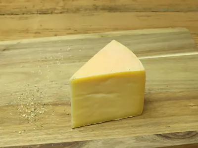 Seenger Sonnenrugel