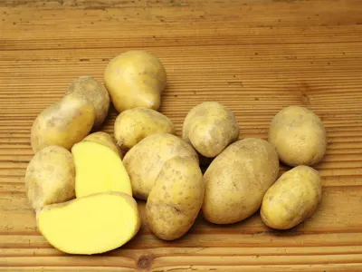 Bio Raclette-Kartoffeln