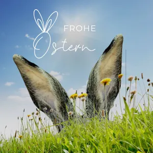 eierfärben- brunchanostern- frischesbrot- ostereikaufen- osterhasen- schokoh.jpg