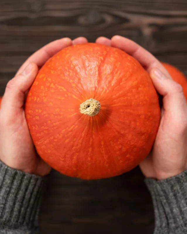 kürbis- regiomarkt- herbstsaison- halloweenkürbis- kürbiskaufen- kürbissaison.jpg