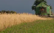biohofschönboden- bioproduktehochdorfregiomarktkaufen- bellevueplatzhochdorfregiomarkt.jpg